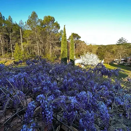 Frühstückspension & Jasmin D'hotes Naturistes En Provence